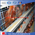 Chicken Raising Cage Equipos Avícolas Automáticos baratos en venta